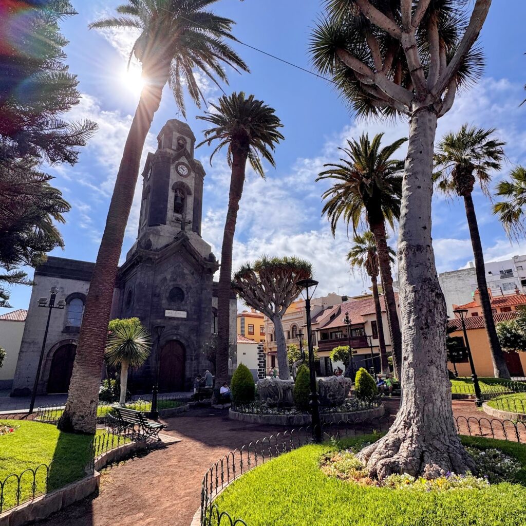 Palm-lined church square in Puerto de la Cruz, Tenerife — historic bell tower, trimmed gardens; romantic honeymoon stroll vibe.
