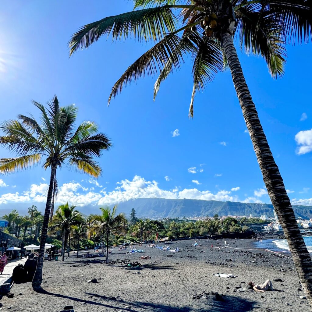 Black-sand beach with palm trees in Puerto de la Cruz, Tenerife — bright blue sky over the Atlantic, volcanic coastline.