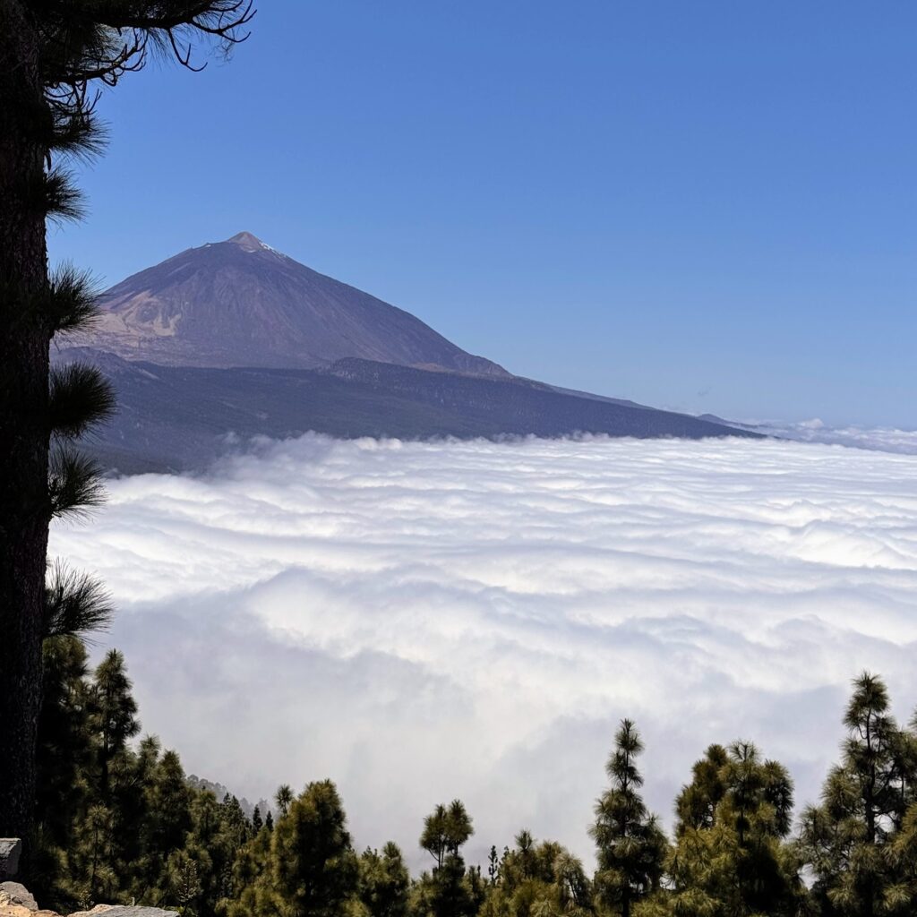Mount Teide rising above a sea of clouds, pine trees in foreground — Teide National Park, Tenerife honeymoon photo scenery.